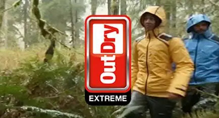 Timeline Image