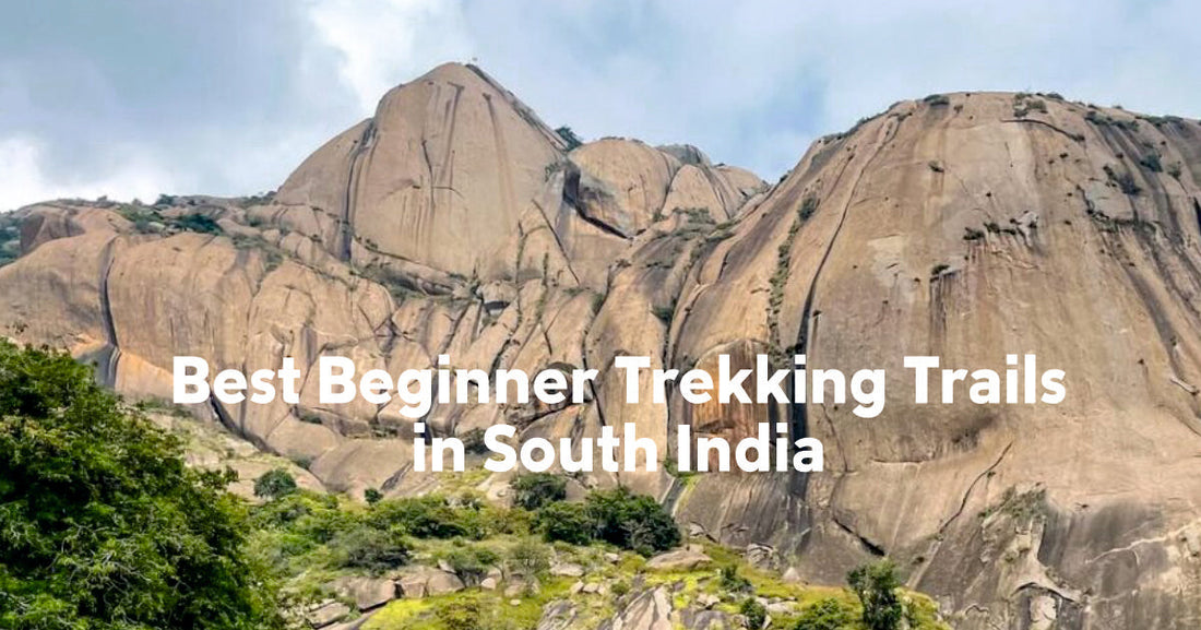 Best Beginner Trekking Trails in South India