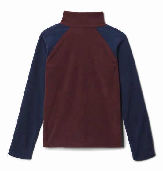 Columbia Kids Boys Purple Glacial Half Zip Fleece Jacket