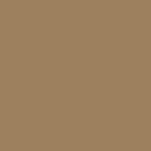 Columbia Mens Brown Washed Out Pant