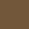 Columbia Men Brown Silver Ridge Cargo Pant