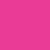 Wild Fuchsia