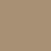 Columbia Men Beige Silver Ridge Cargo Pant