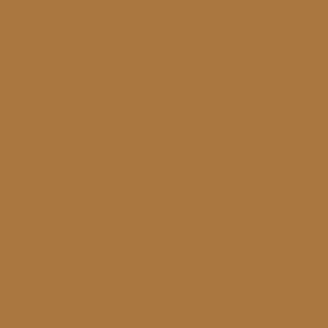 Columbia Men Brown Columbia Men Black Mesa Woven Pant