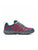 Marionberry, Snowcap
