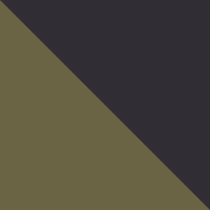 Columbia Men Olive Green Omni-Grip Terrastride BC Shoes