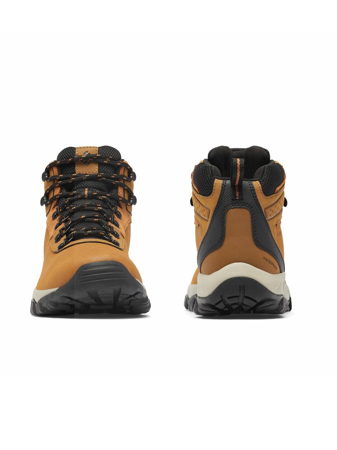 Columbia Men Brown NEWTON RIDGE PLUS II Water Resistant Shoes