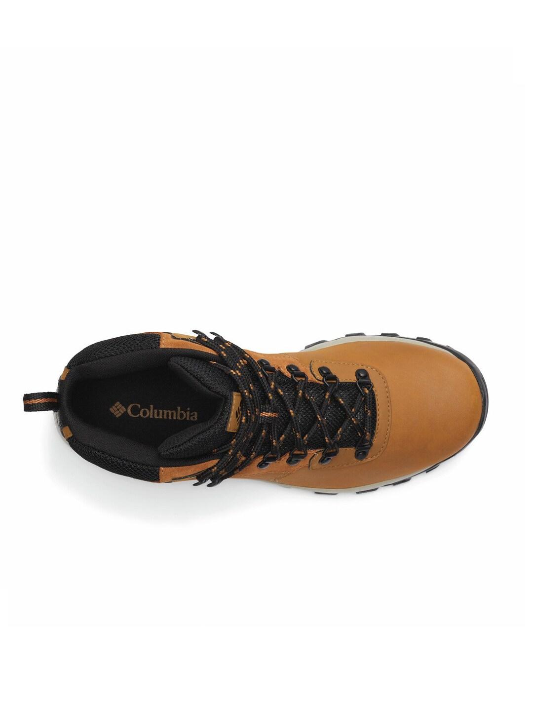 Columbia Men Brown NEWTON RIDGE PLUS II Water Resistant Shoes