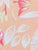 Peach Mini-Biscus Print