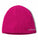 Wild Fuchsia