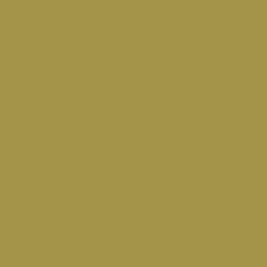 Columbia Men Olive Green Omni-Freeze Wild Cast Sun Tshirt