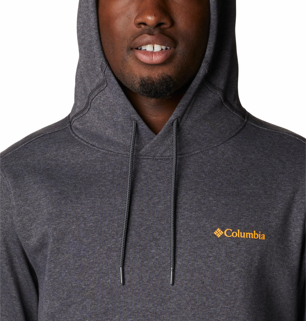 Columbia Men Grey CSC Basic Logo II Hoodie