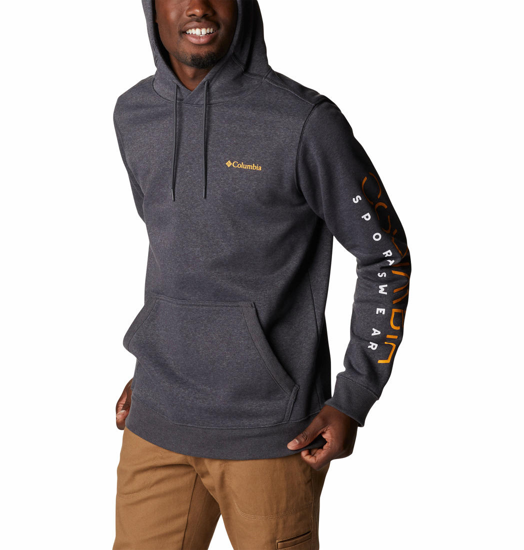 Columbia Men Grey CSC Basic Logo II Hoodie