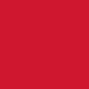 Columbia Kids Girls Red Suttle Mountain Long Insulated Jacket