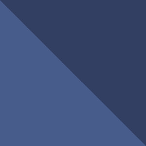 Columbia Kids Boys Navy Blue Powder Lite Hooded Jacket